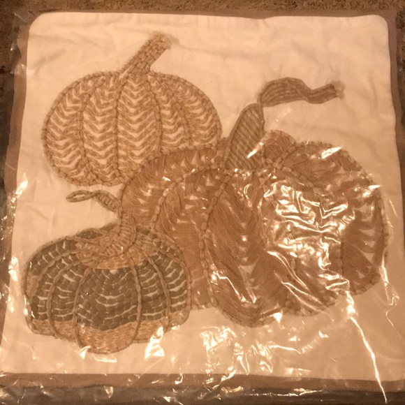 Pottery Barn beautiful pumpkin 20” x 20” pillow cover